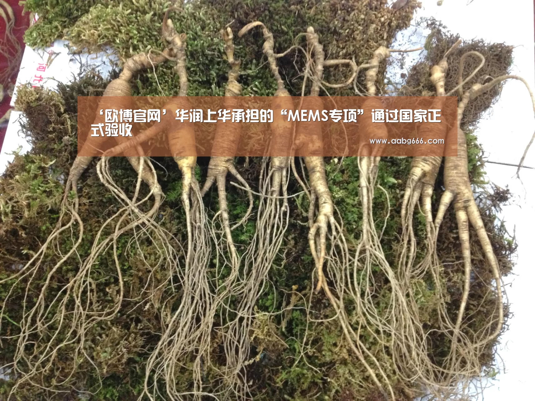 ‘欧博官网’华润上华承担的“MEMS专项”通过国家正式验收(图3) 欧博